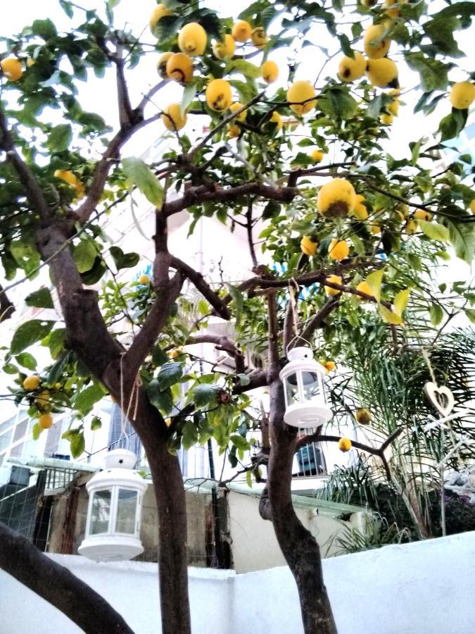 Willkommen In Einem Private Garden 巴里 外观 照片