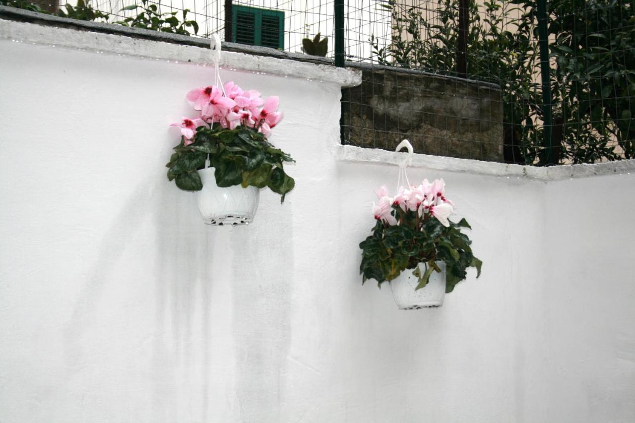 Willkommen In Einem Private Garden 巴里 外观 照片