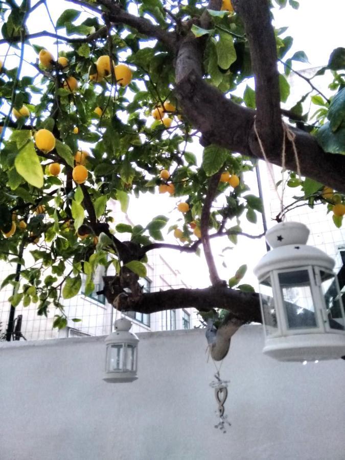 Willkommen In Einem Private Garden 巴里 外观 照片